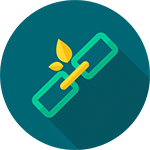 Link Building